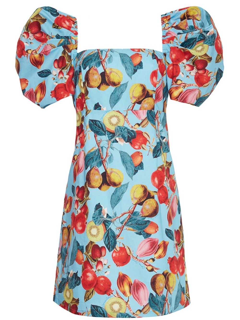Cara Cara Blue Fruit Print Kelly Mini Dress Cotton Smock Back. Puff Sleeves. Sm